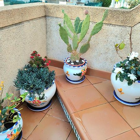 Casa De Buenos Dias Daire Torrevieja Dış mekan fotoğraf