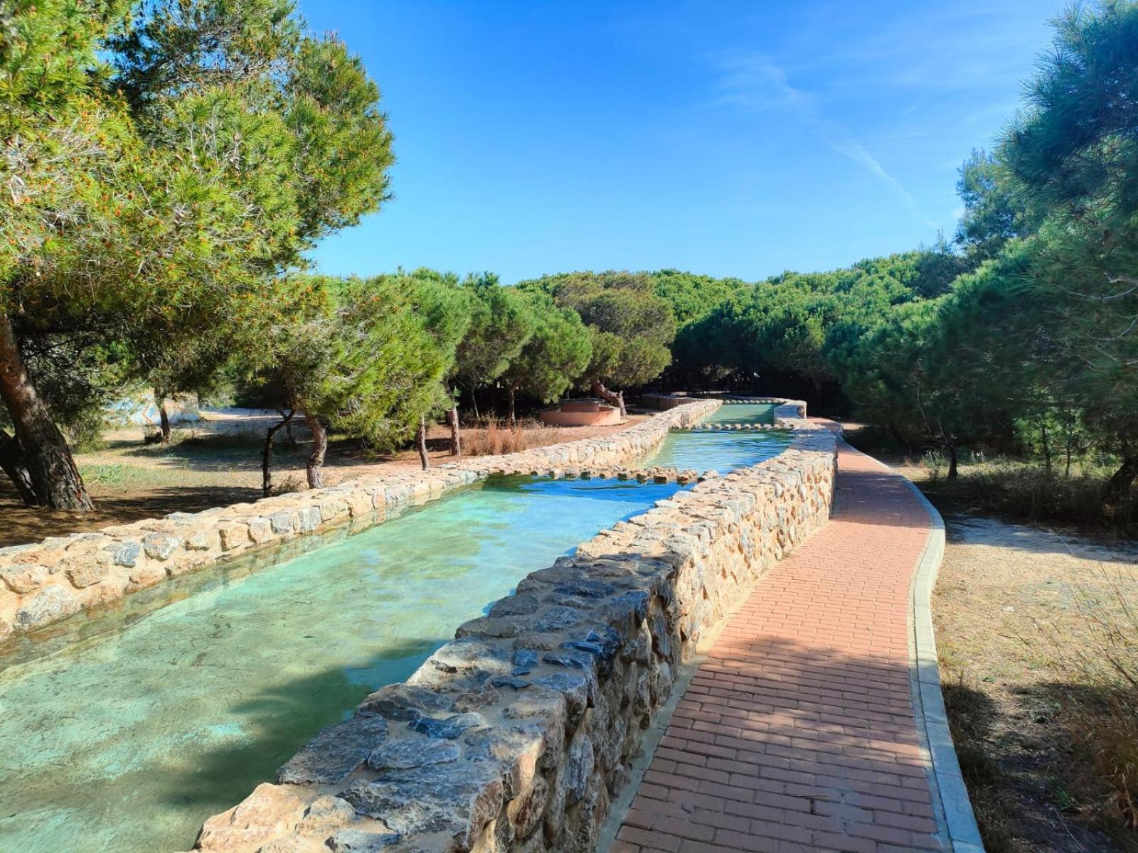 Casa De Buenos Dias Daire Torrevieja Dış mekan fotoğraf