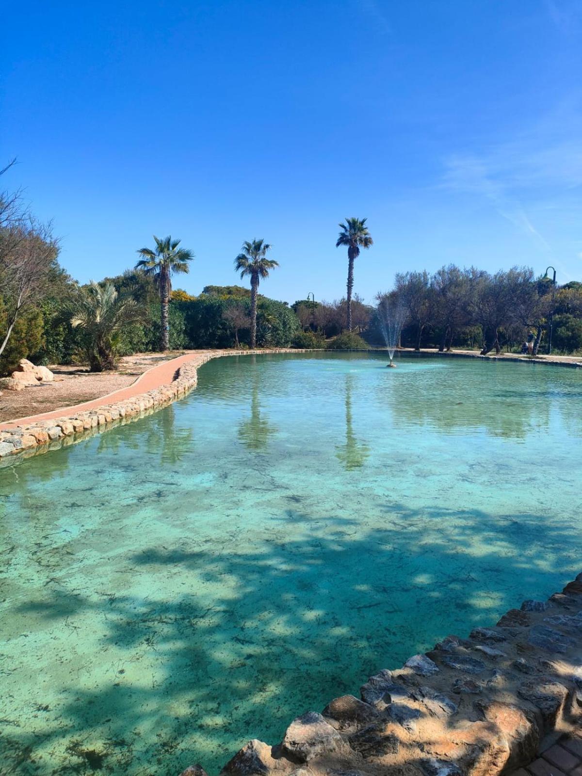Casa De Buenos Dias Daire Torrevieja Dış mekan fotoğraf