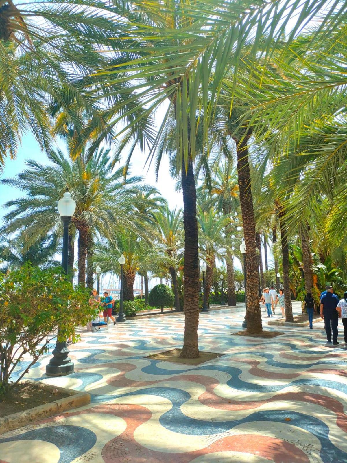 Casa De Buenos Dias Daire Torrevieja Dış mekan fotoğraf
