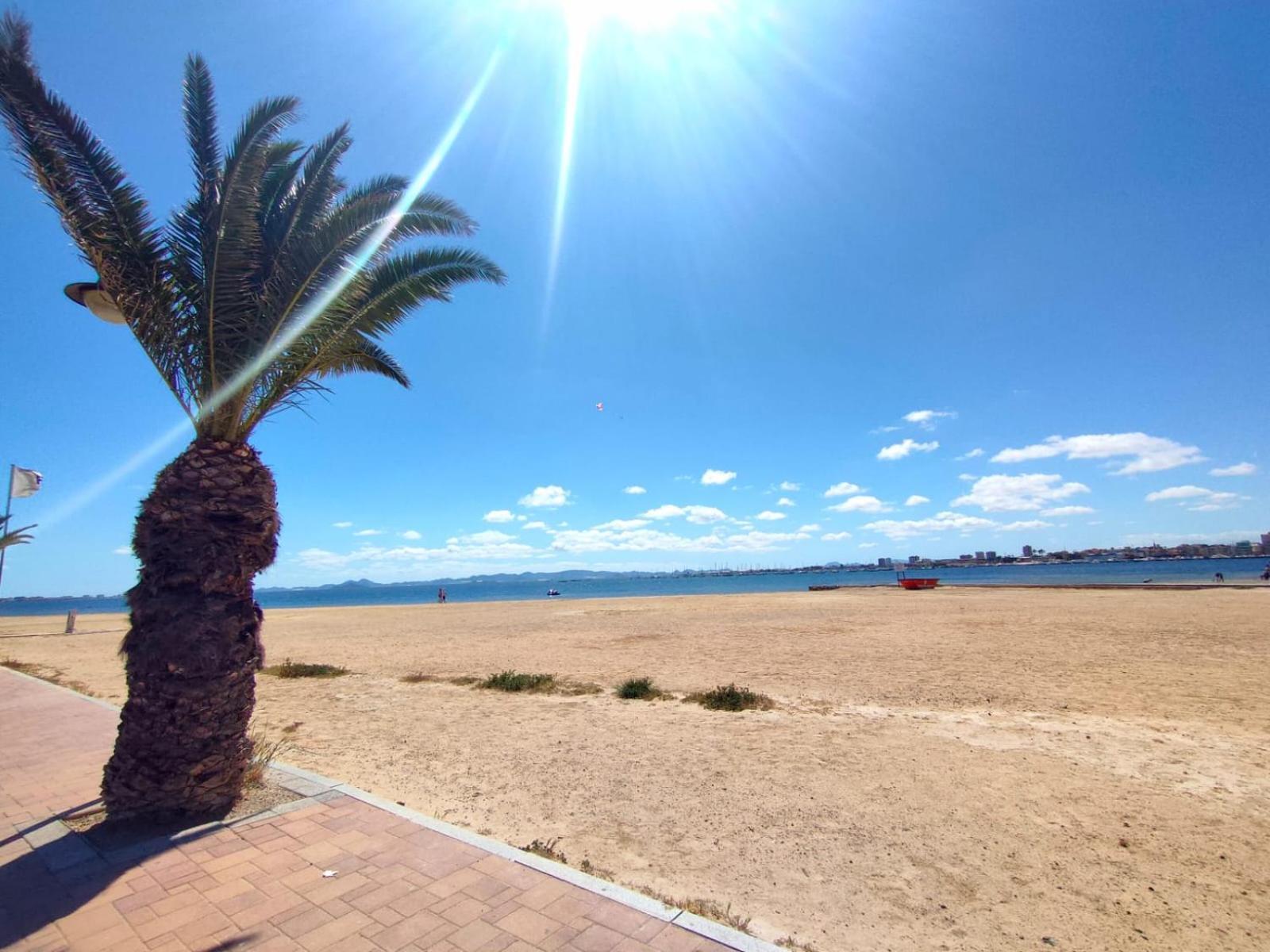 Casa De Buenos Dias Daire Torrevieja Dış mekan fotoğraf