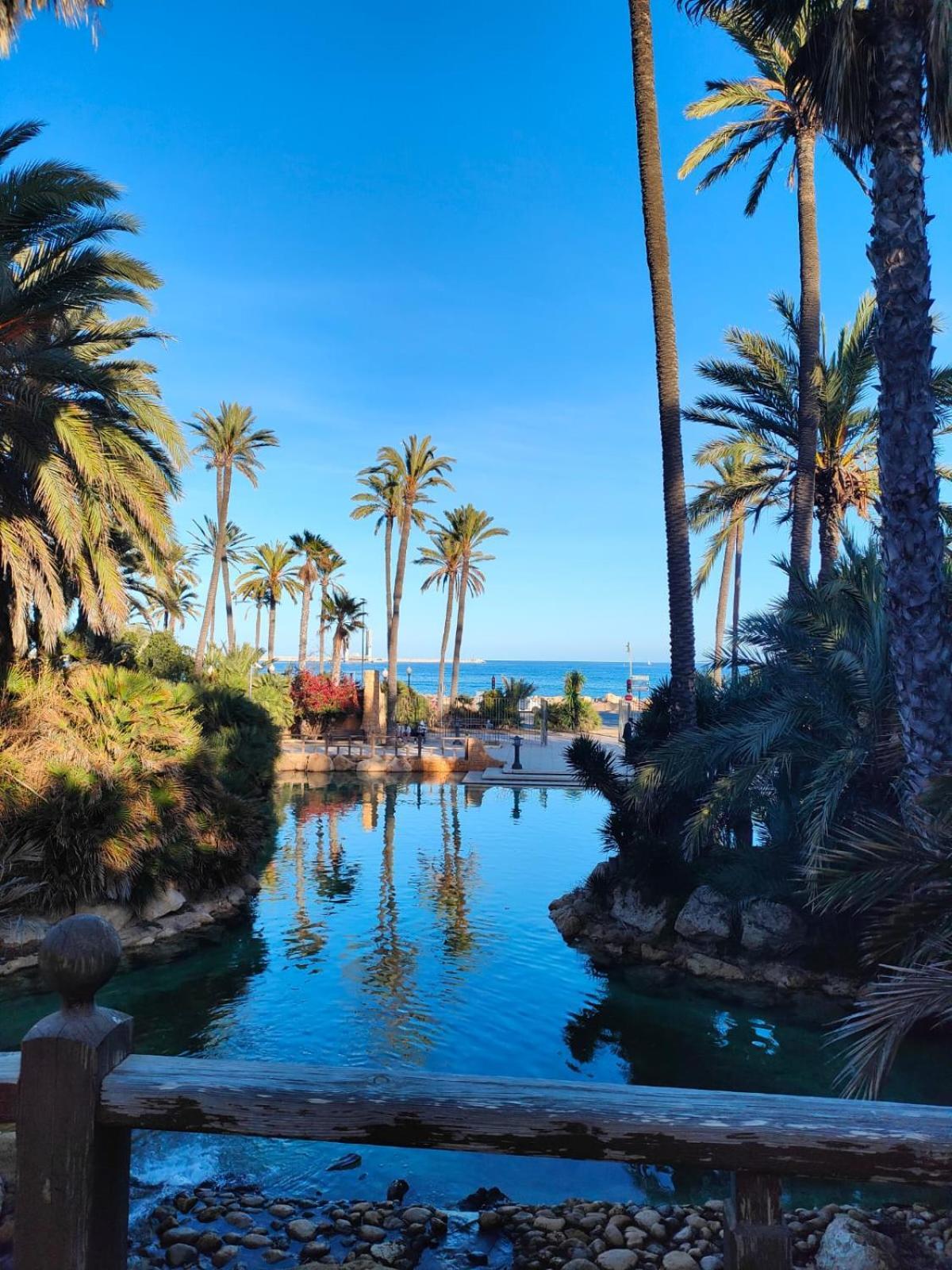 Casa De Buenos Dias Daire Torrevieja Dış mekan fotoğraf
