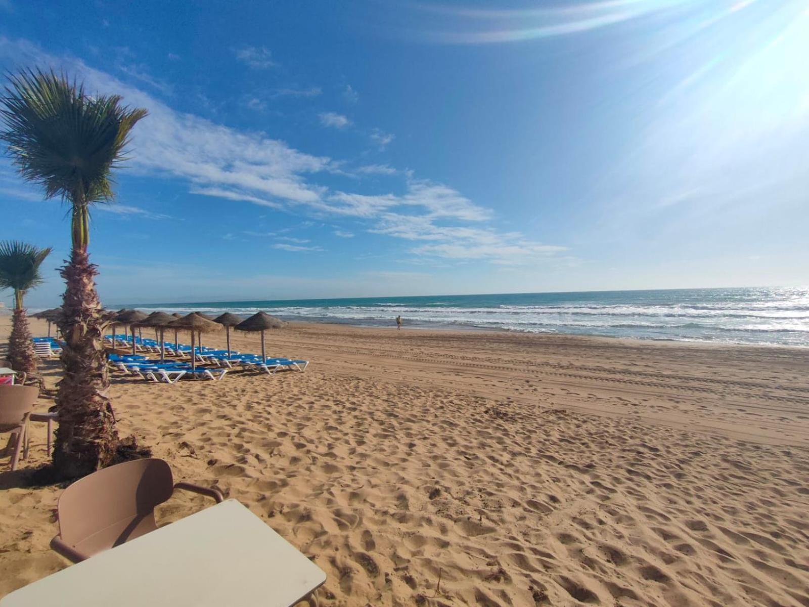 Casa De Buenos Dias Daire Torrevieja Dış mekan fotoğraf