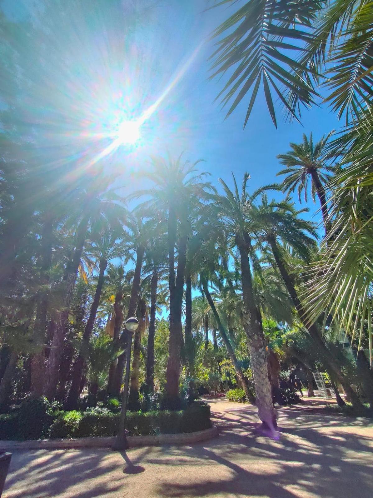 Casa De Buenos Dias Daire Torrevieja Dış mekan fotoğraf