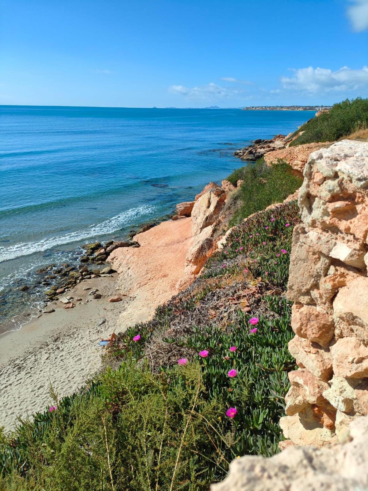 Casa De Buenos Dias Daire Torrevieja Dış mekan fotoğraf