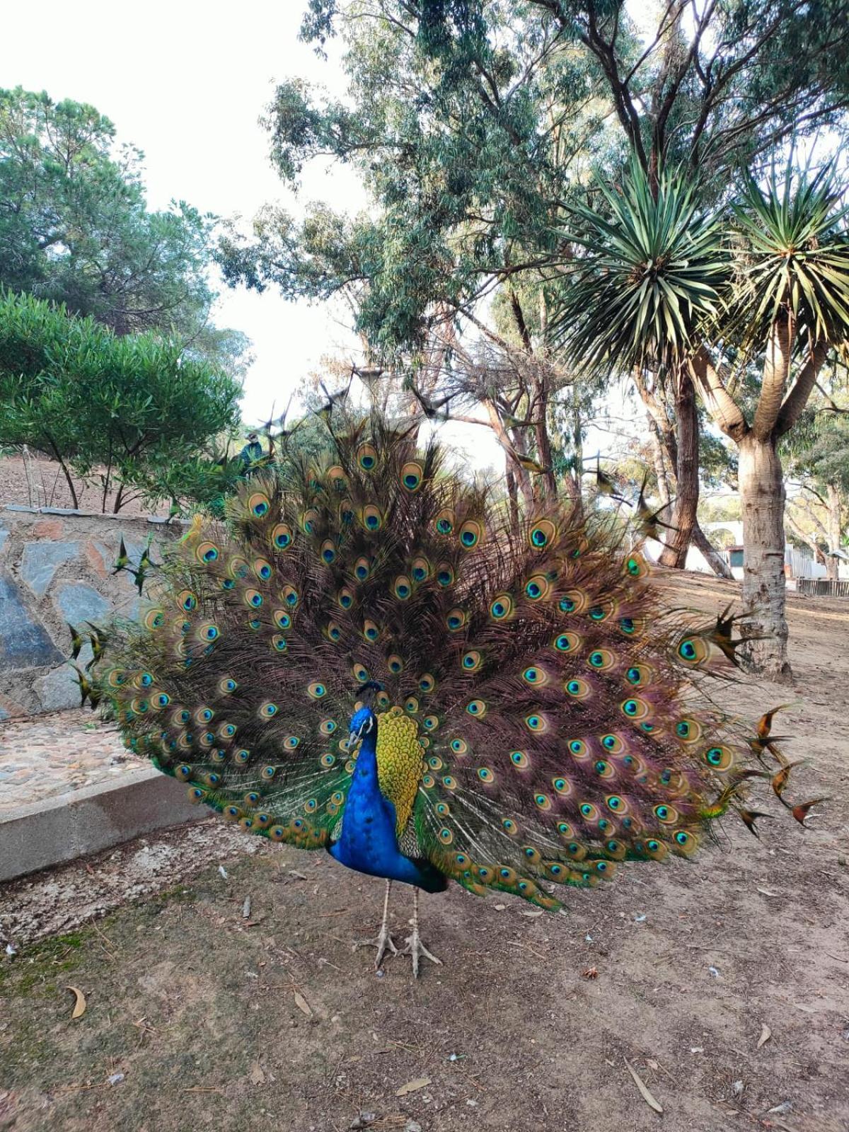Casa De Buenos Dias Daire Torrevieja Dış mekan fotoğraf