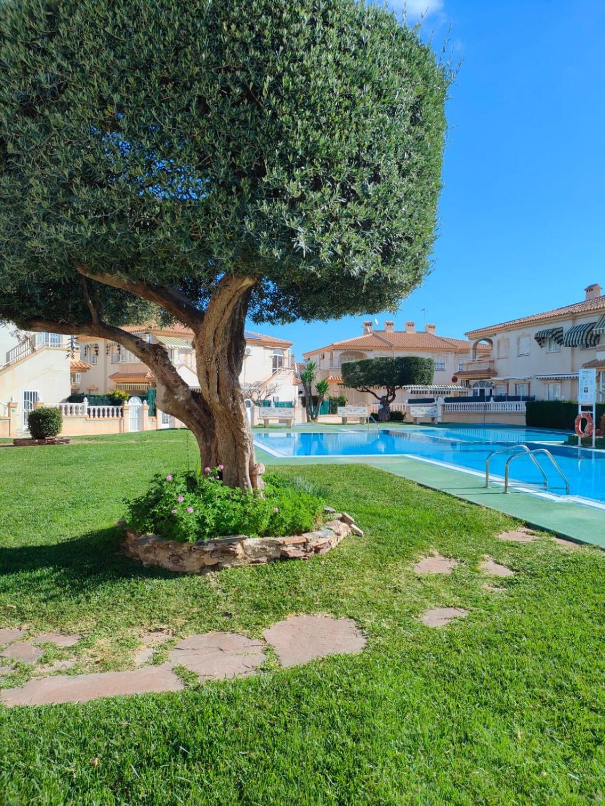 Casa De Buenos Dias Daire Torrevieja Dış mekan fotoğraf