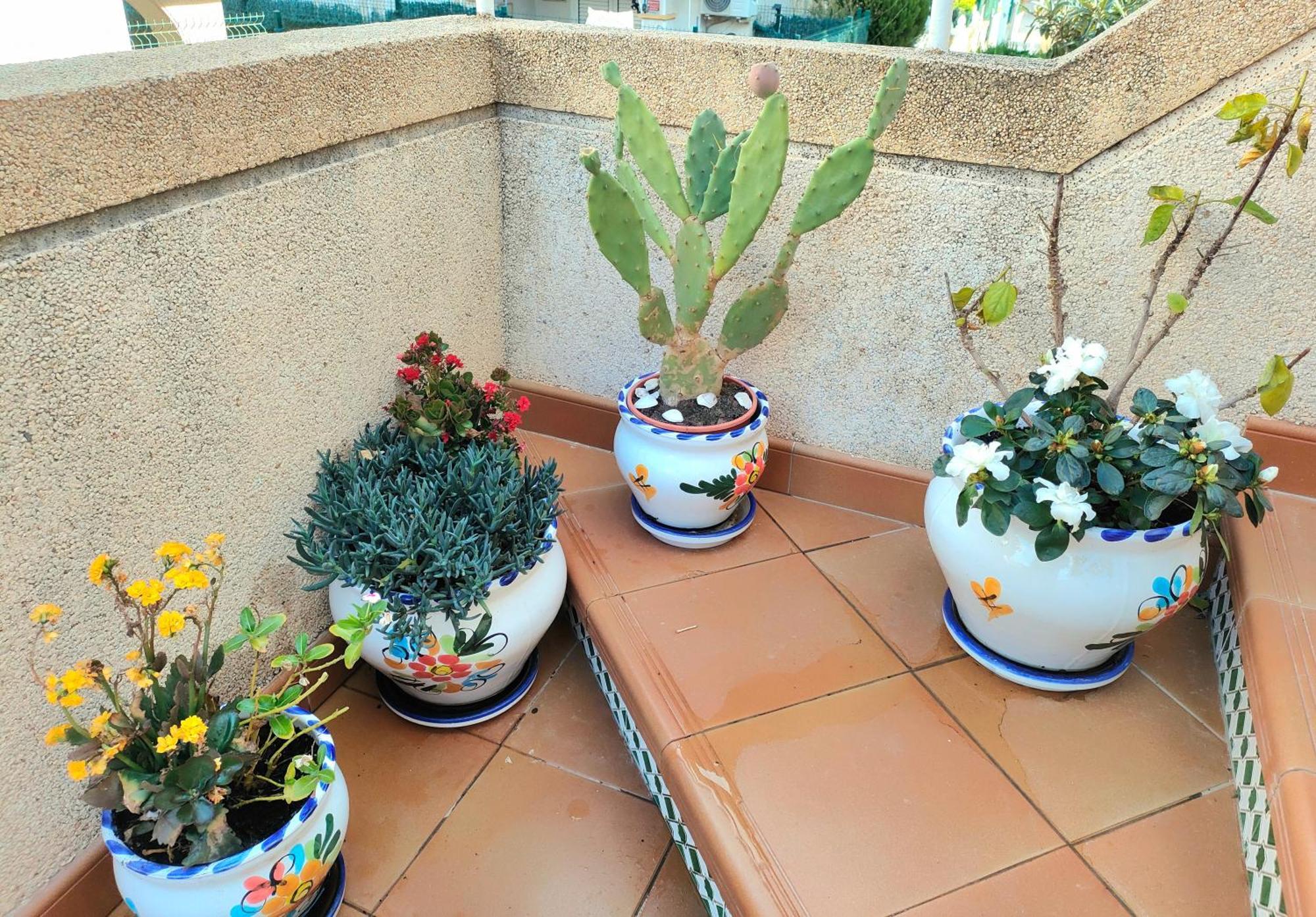 Casa De Buenos Dias Daire Torrevieja Dış mekan fotoğraf